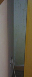 termografia muffe sui muri
