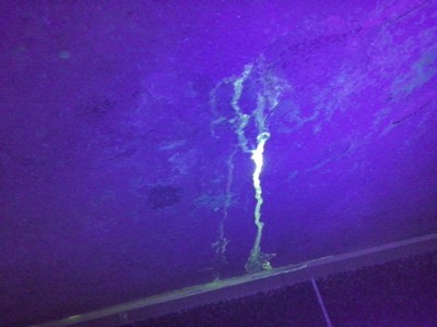 tracce liquido fluorescente sul muro